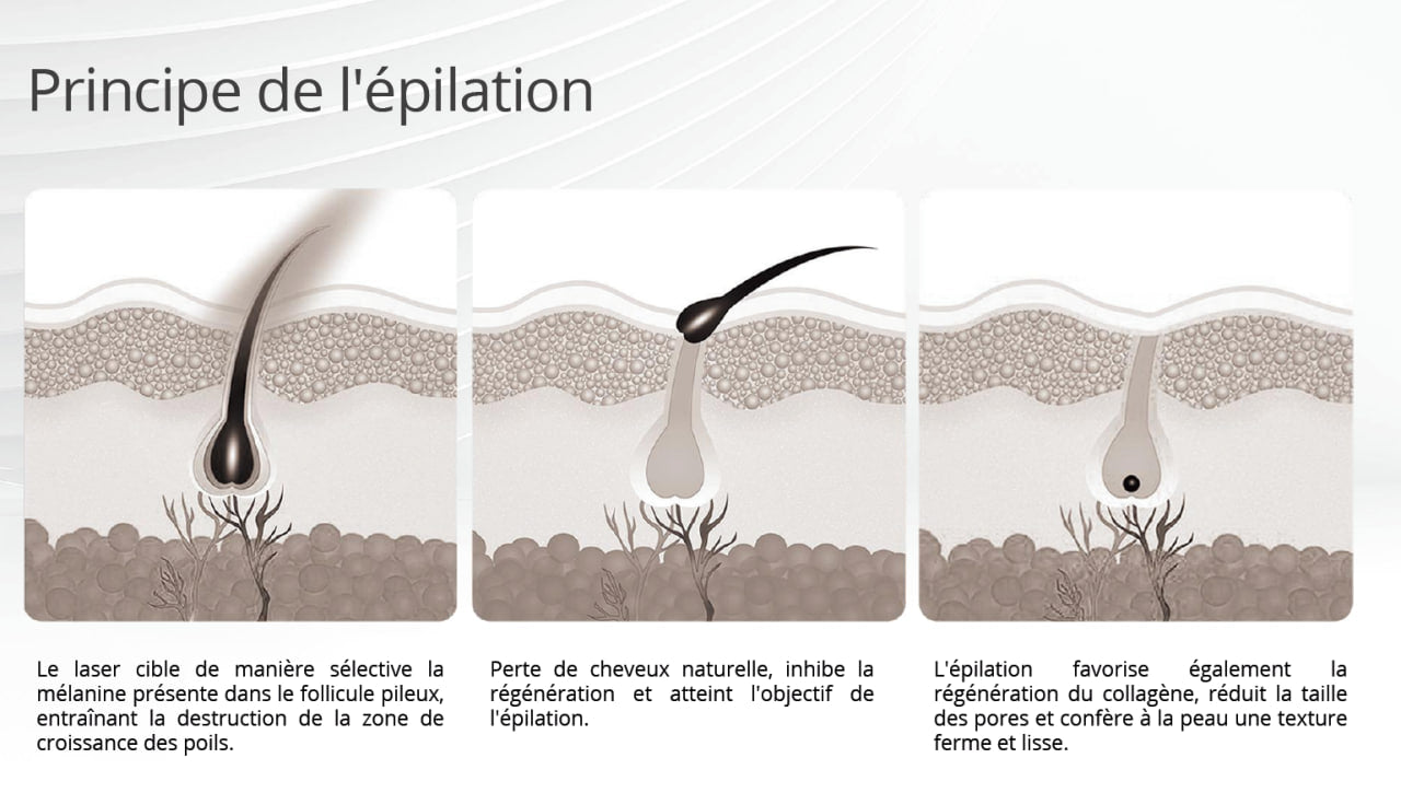 Prisma Advanced 4 en 1