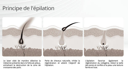 Prisma Advanced 4 en 1